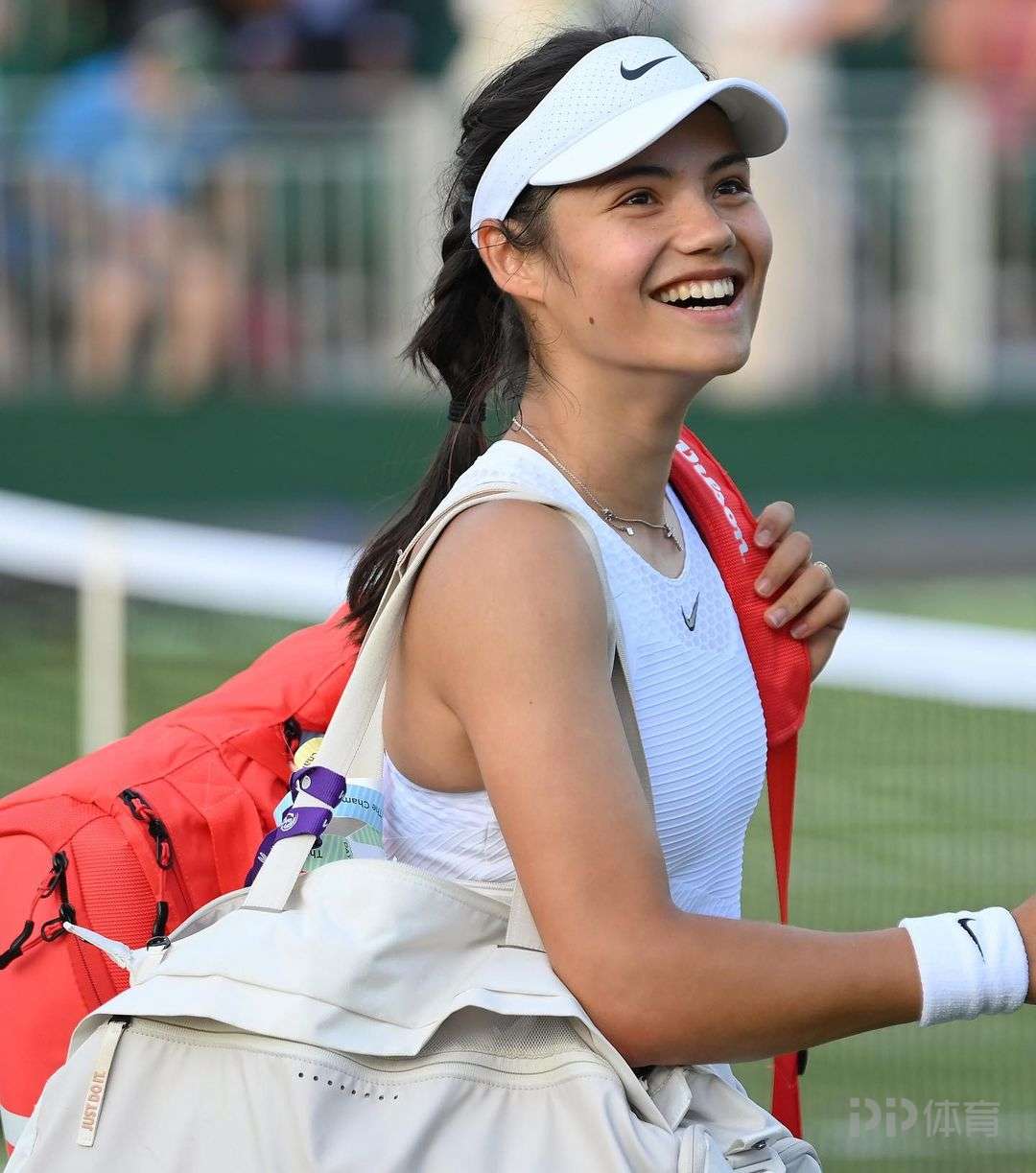 毛球锦标赛 毛球锦标赛