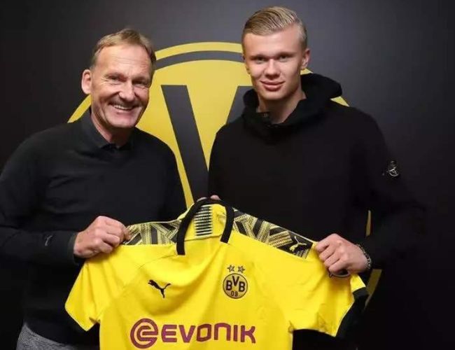 整理帽子成 整理帽子成