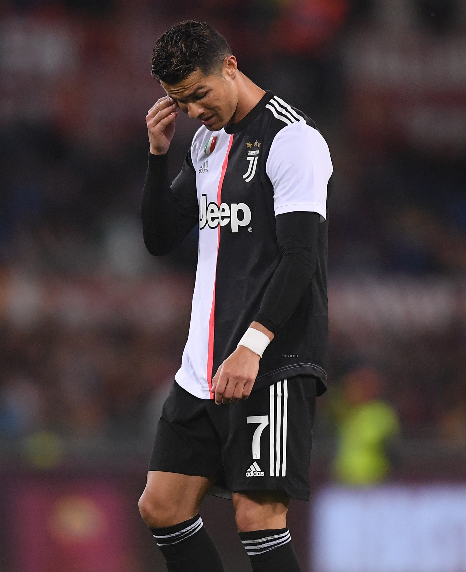 野环境与投 野环境与投